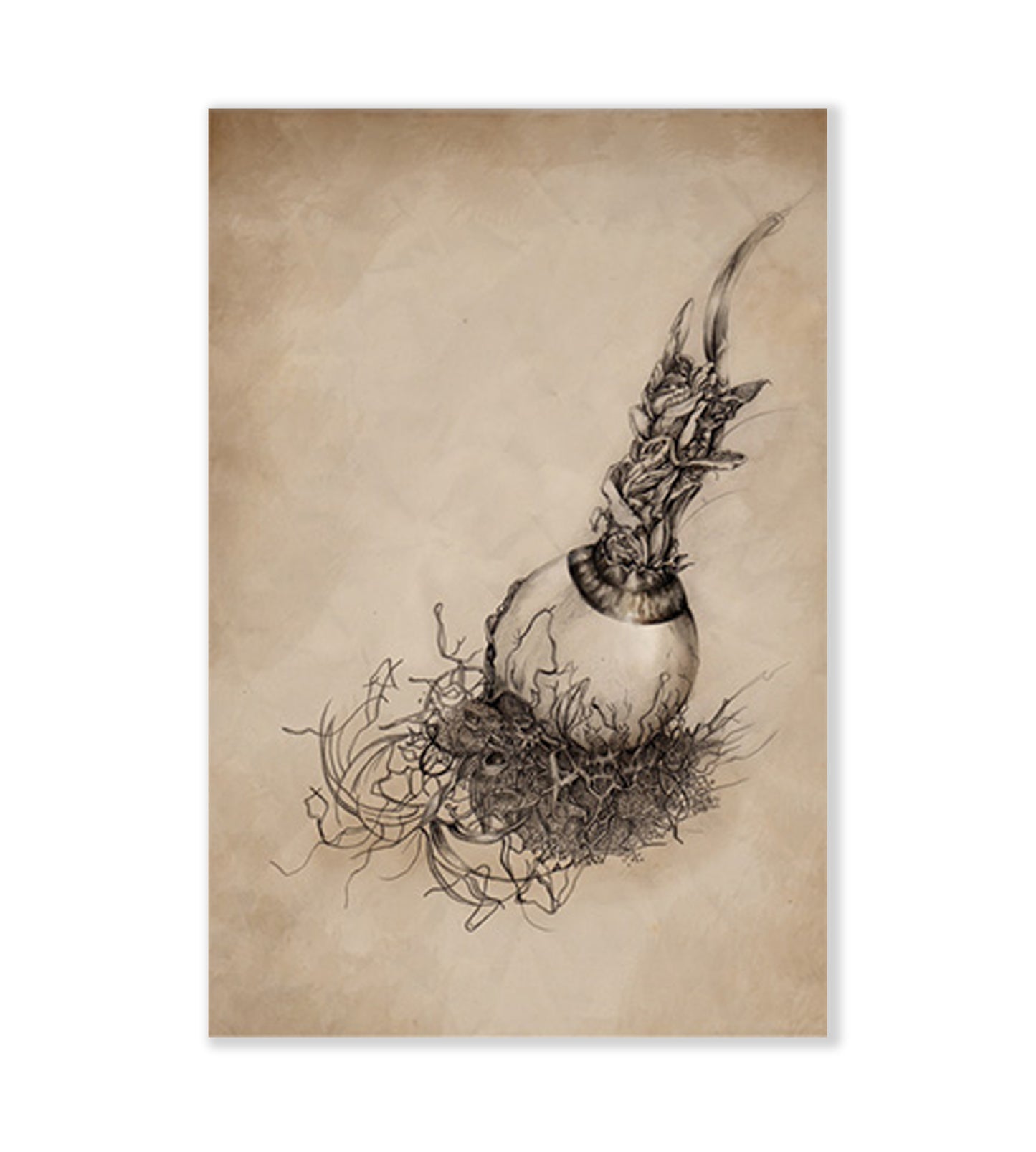 Growth Art Print
