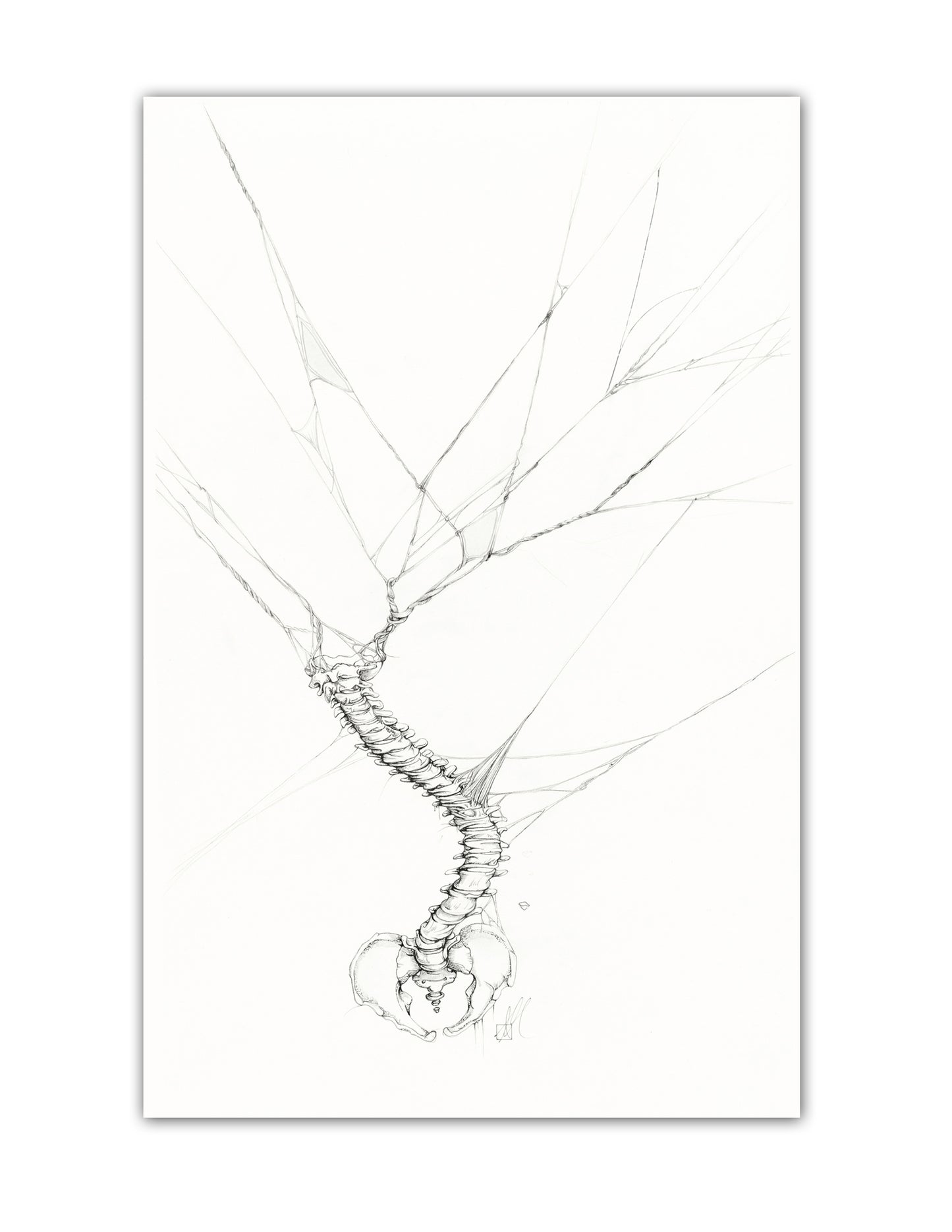 Bound and Constrained Art Print