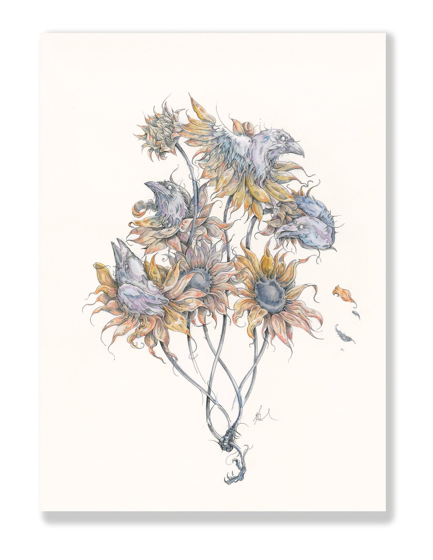 'Feathers and Flowers'  art print