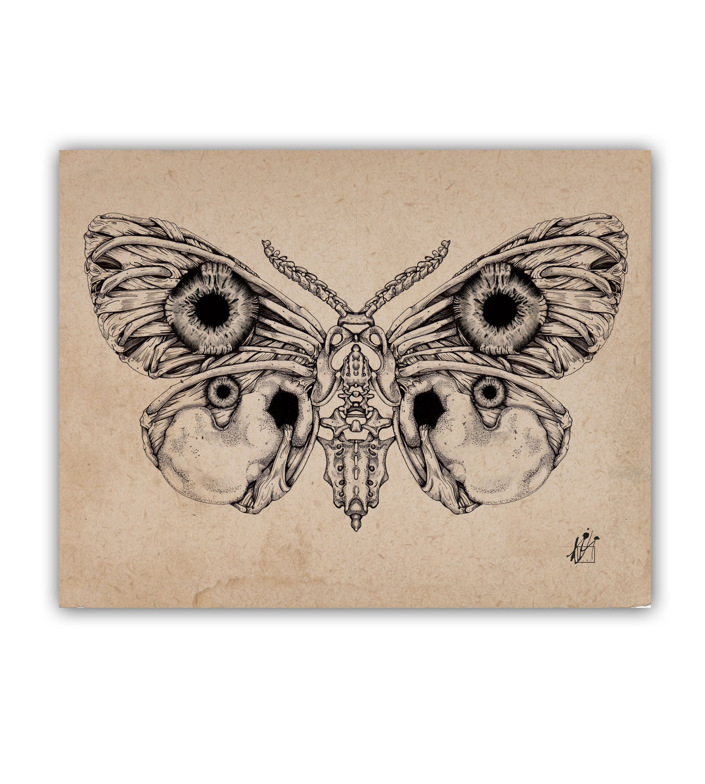 Biofly Art Print